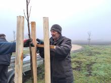 országfásítás 2025