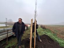 országfásítás 2025