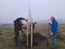 országfásítás 2025