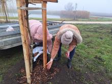 országfásítás 2025