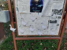 ősz és advent 2025 oviban