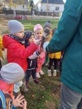 ősz és advent 2025 oviban