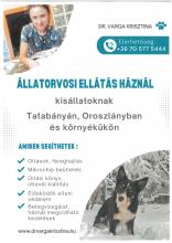 állatorvosi ellátás háznál kisállatoknak