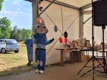 Falunap 2026