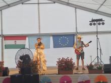 Falunap 2026