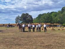 Lovasnap 2026