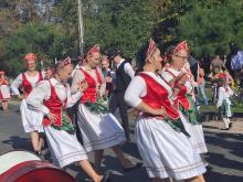 Szüreti felvonulás 2026